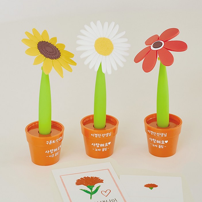 스승의날 화분 볼펜 주문제작 선생님 선물 답례품 커스텀 볼펜, 1세트, 데이지