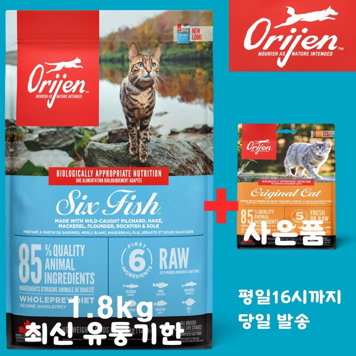 오리젠 6 식스 피쉬 캣 (견성상사 단독 사은품 증정 판매자 확인필수)