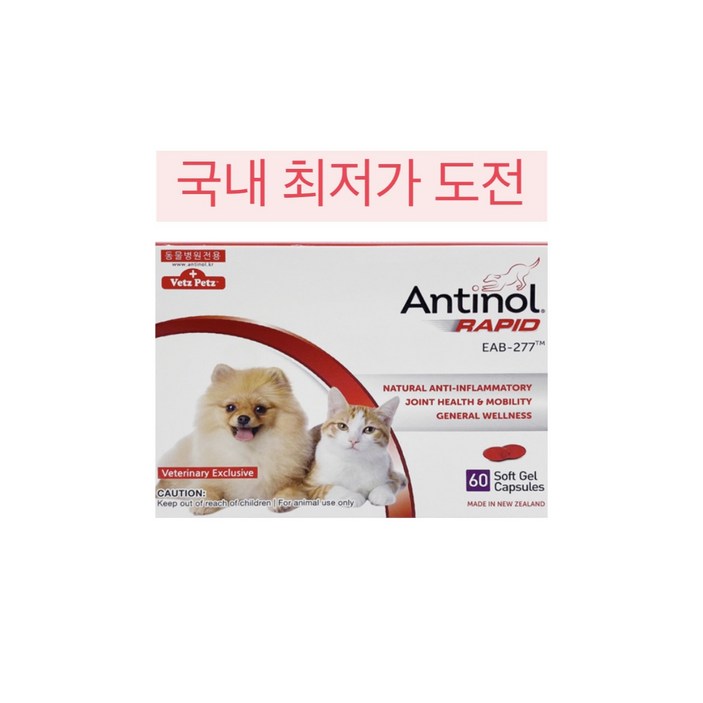 안티놀 래피드 60정 관절영양제