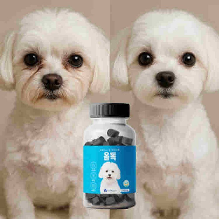 올독 강아지 눈 영양제 눈물자국 노령견 백내장 항산화 루테인