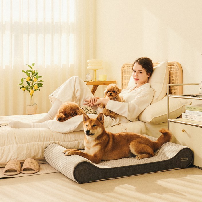 개과천선 강아지 로이방석, 다크그레이, 1개