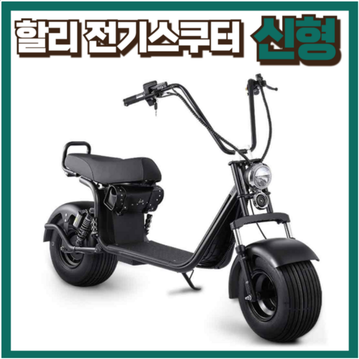 한울바람 할리 전기오토바이 스쿠터 바이크 취미 라이딩 충전 할리오토바이 고급 전동 간지