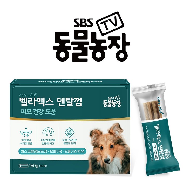 SBS TV 동물농장 덴탈껌 1개 강아지 치석 양치 입냄새 제거, 단품, 단일상품