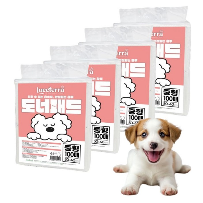 동물병원추천 신제품 루쎄테라 도너패드 강아지 가성비 실속형 배변패드 흡수력 새지않는 애견패드, 4개, 100개입 동물병원추천 신제품 루쎄테라 도너패드 강아지 가성비 실속형 배변패드 흡수력 새지않는 애견패드, 4개, 100개입