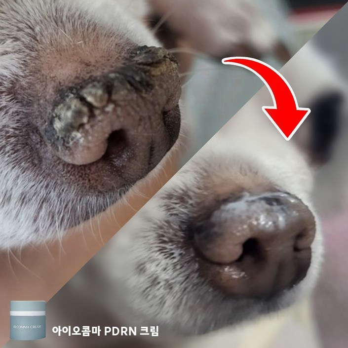 강아지 고양이 피부 발 보습제 밤 로션 습진 연고 코 건조 크림