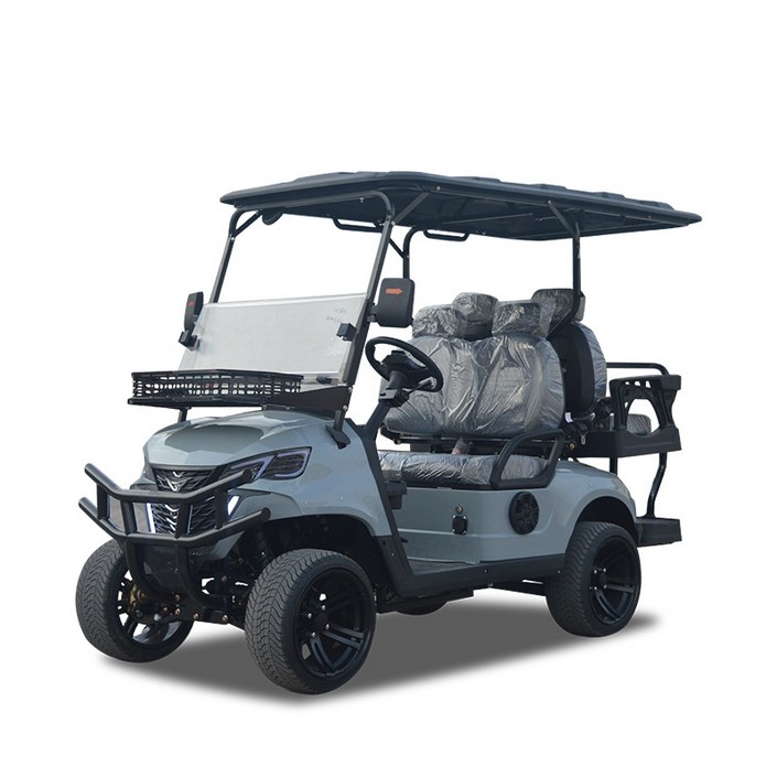 더패스터 골프카트 전기 골프카 전동 전동카트 골프