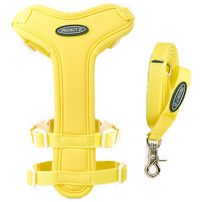 프로젝트21 강아지 하네스  리쉬 세트, 레몬, 1개