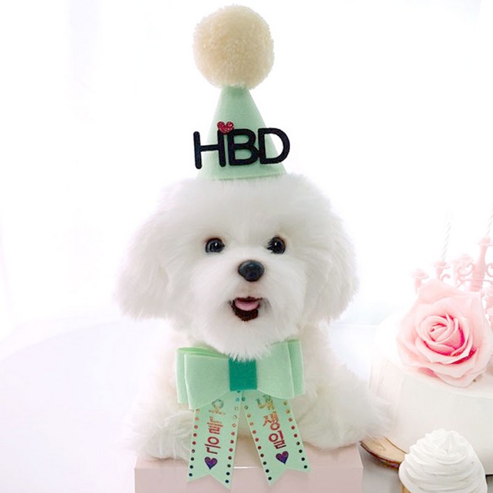 핑크캔디 강아지 생일파티세트