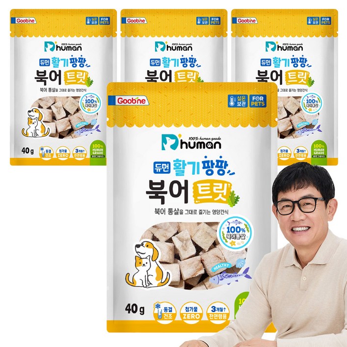 듀먼 반려동물 활기팡팡 트릿