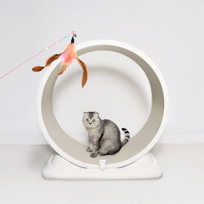 로위드 고양이 런닝냥 저소음 휠