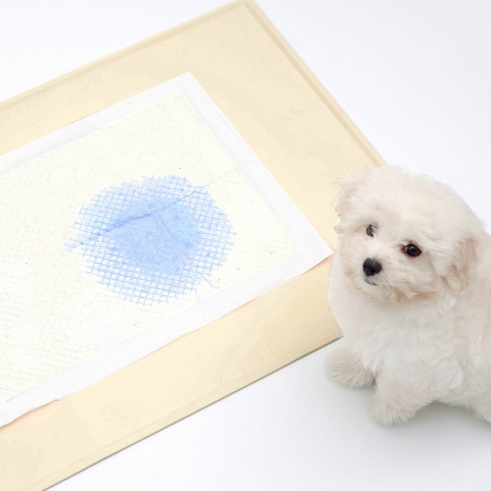 워글리 실리콘 배변매트, 베이지, 1개