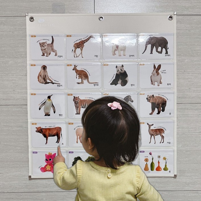 아빠차트 아기 유아 과일 동물 한글 영어 숫자 가로형 낱말카드 차트 NA11NA12NA7 모델중 선택