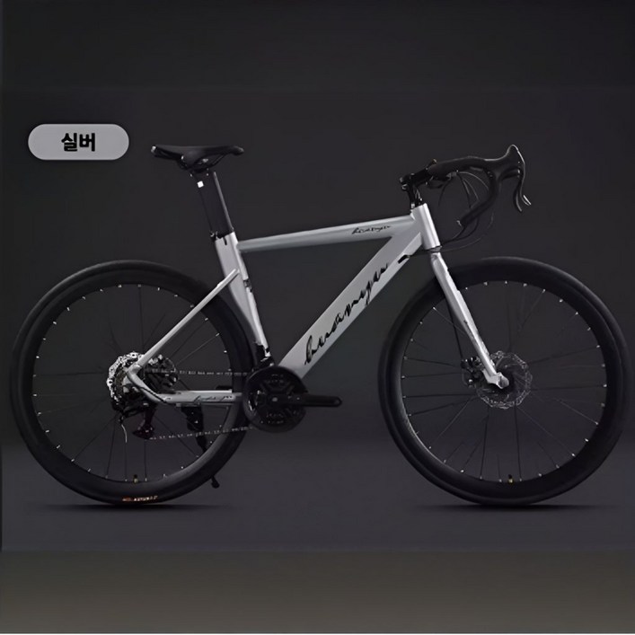 에키레 프리미엄 로드자전거 로드바이크 MTB자전거 사이클 싸이클자전거 중급로드바이크 700c, 1개, 175cm, 티타늄 실버 24단