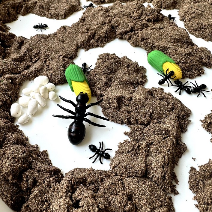 빌랑 개미 스몰월드 놀이키트  모형 어린이 모래 동물학습 엄마표놀이 곤충관찰 놀이트레이