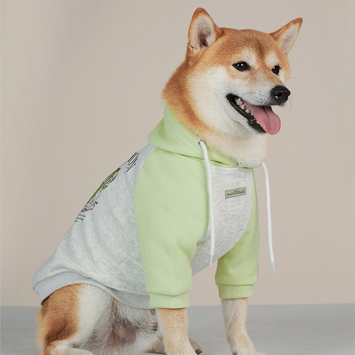 모즈펫 나그랑 스위트 기모 후드티 소형견 중대형견 초대형견, 1개, 그린 모즈펫 나그랑 스위트 기모 후드티 소형견 중대형견 초대형견, 1개, 그린