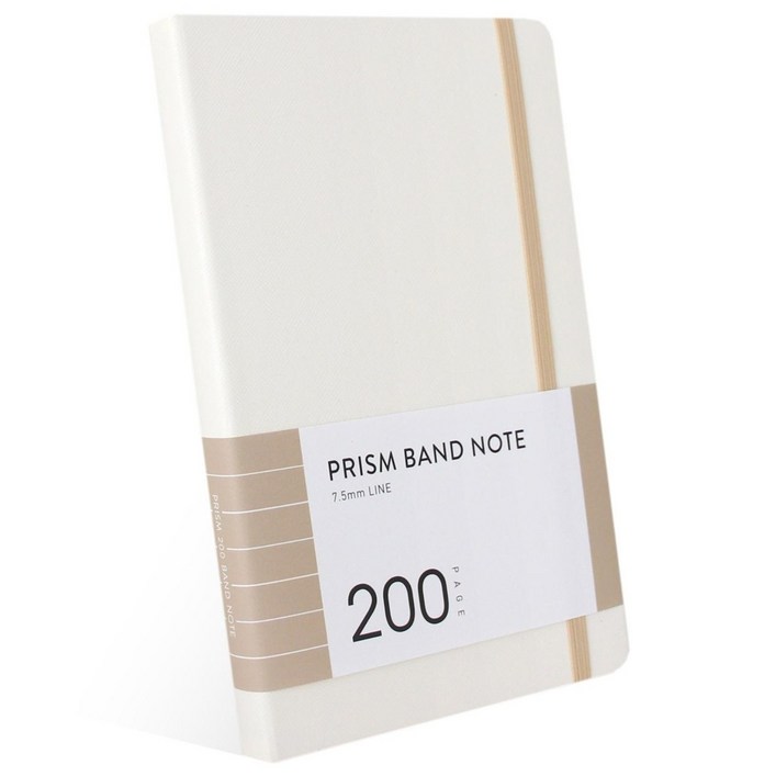인디고 프리즘 200 밴드노트 라인