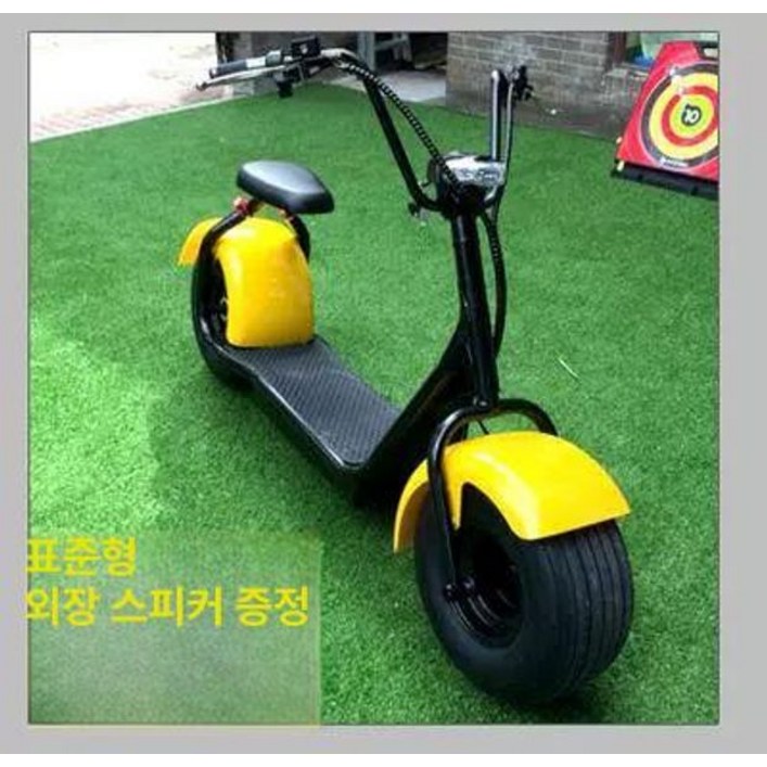 할리 전기 스쿠터 전동 오토바이 추천