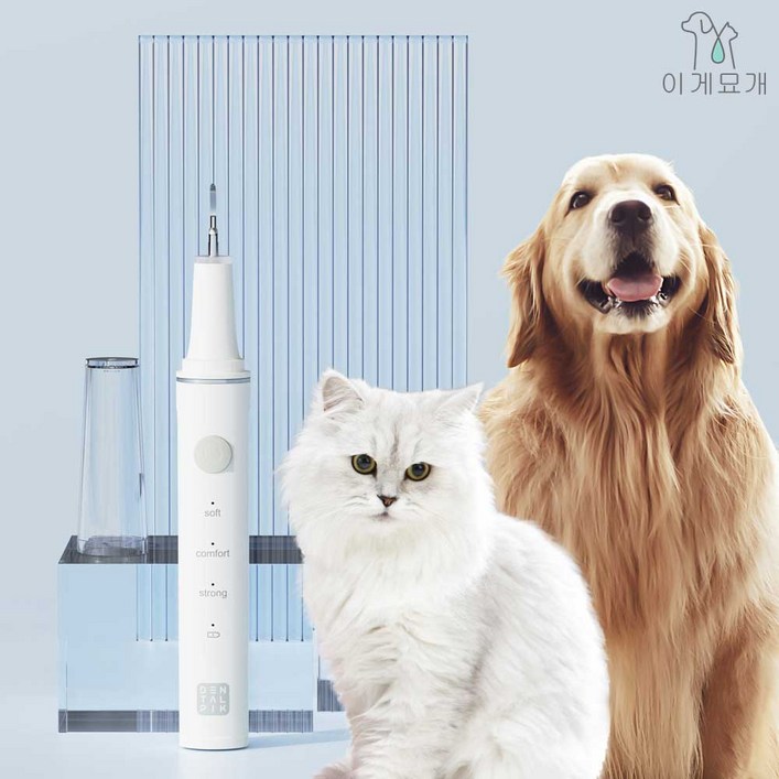 이게묘개 반려동물용 치석제거기