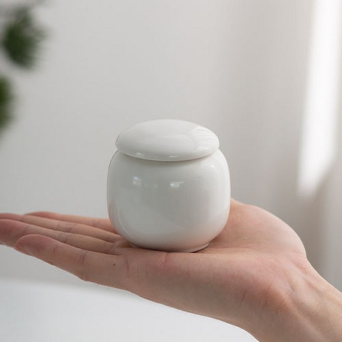 재물 금전운 풍수 인테리어 다용도 미니 소금 단지 백자 항아리 E223