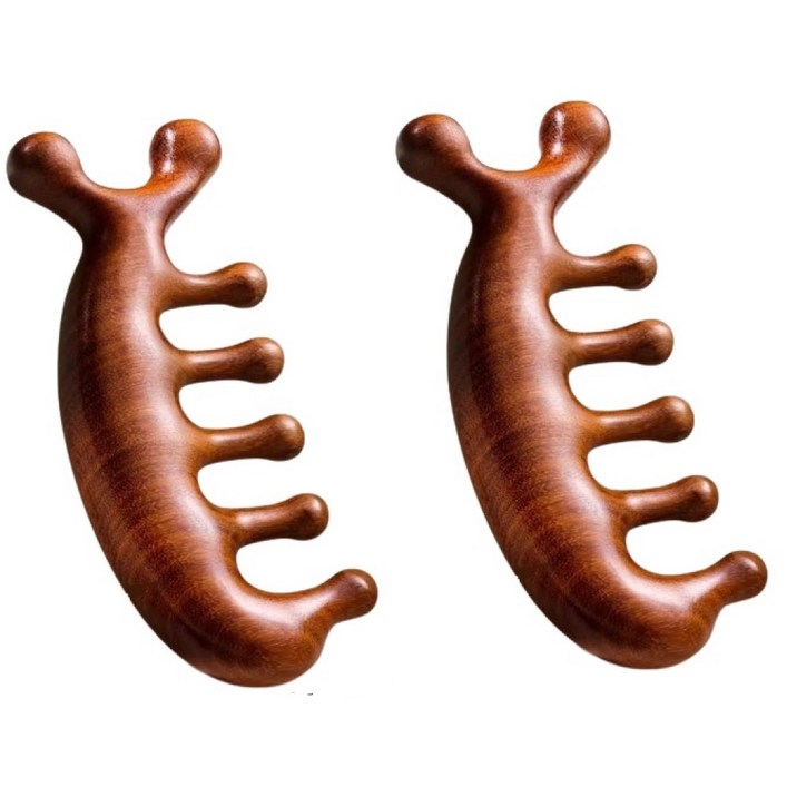 리빙대장 우드 두피 괄사빗 마사지기 2개