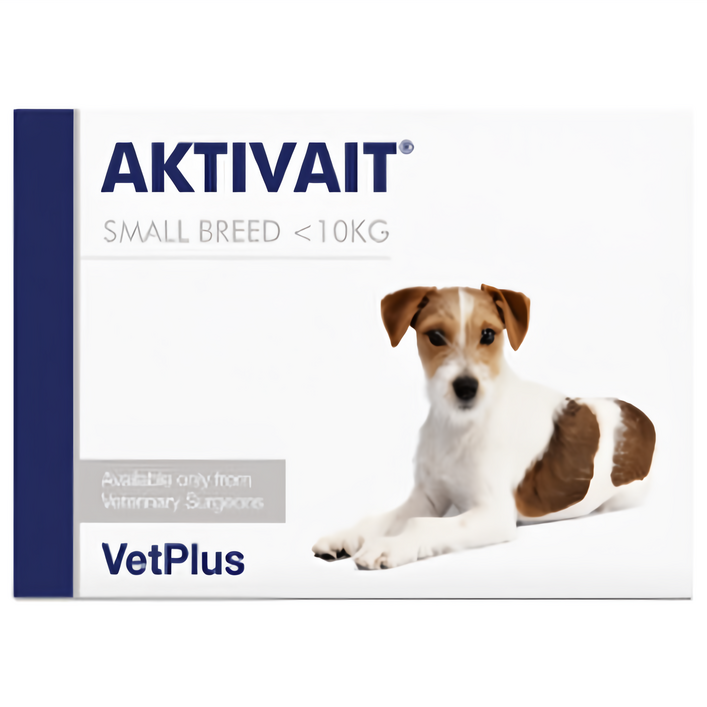 벳플러스 액티베이트 소형견 스몰브리드 강아지 독 영양제 60캡슐 두뇌 항산화제