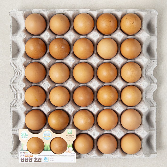 곰곰 무항생제 신선한 초란