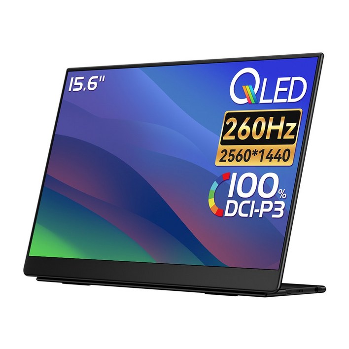 EHOMEWEI 이홈웨이 포터블모니터 Portable monitor 휴대용모니터 서브모니터 2.5K IPS QLED 100DCIP3 16인치 맥OS 덱스 게임콘솔 스위치2, LQHG156NW, 39.6cm