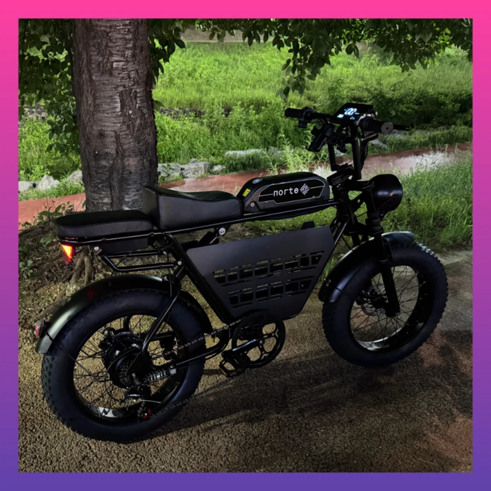 노르테 전기 자전거 자토바이 전동 스쿠터 팻바이크 MTB 배달용 출퇴근용, S1 럭셔리, 스틸