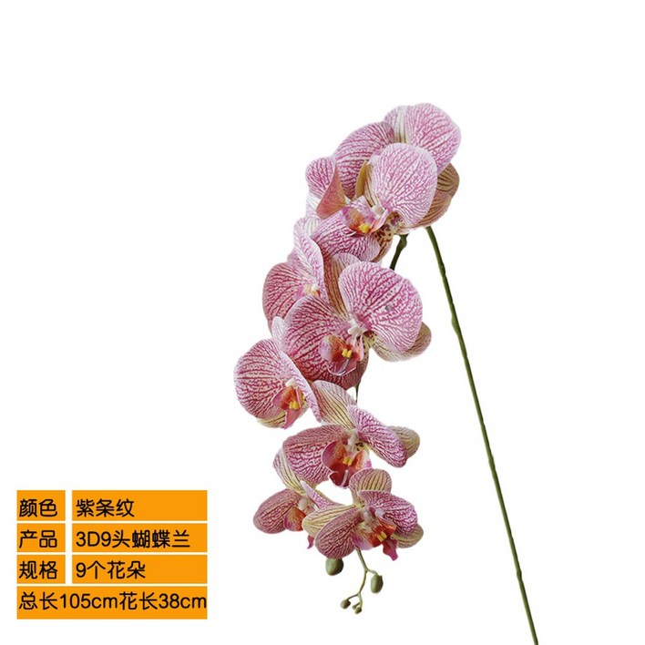 가벼운 촉감 보습 10 40g 오브 오드퍼퓸 본품 175ml 오르페옹 휴대용 27G2 가벼운 촉감 보습 10 40g 오브 오드퍼퓸 본품 175ml 오르페옹 휴대용 27G2