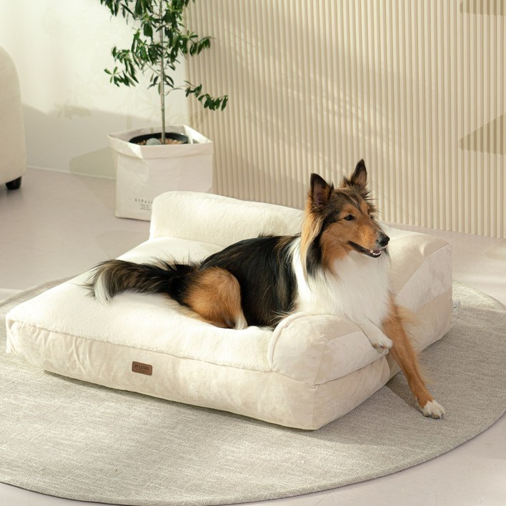 펫테일 강아지 은나노 리저브 방석 쿠션 침대 쇼파, 그린 그레이 XL + 미니쿠션 2개 139,000
