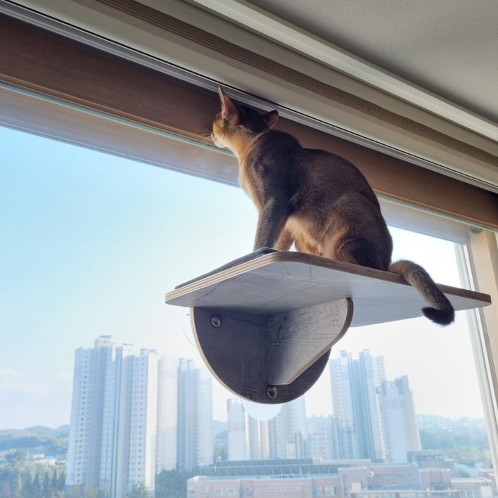 헤라우스점핑 고양이 일광욕 창문 캣타워 투명 해먹 캣워크 캣워커 캣폴, 창문 캣워커, 1개 고양이빌라