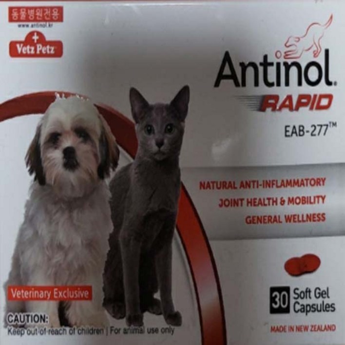 안티놀 래피드 30정 (강아지,고양이 관절영양제), 안티놀 래피드, 30정, 30캡슐