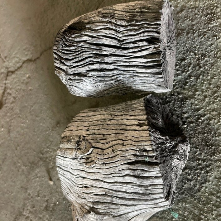 아인숯타인 팬션업소용 두번구운 참숯백탄20kg, 1개, 20g