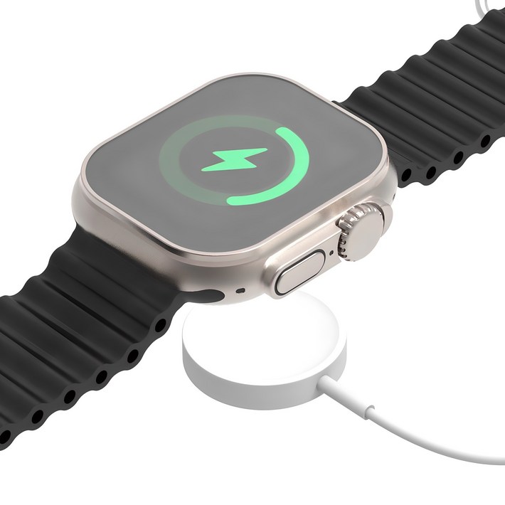 로랜텍 백돌 애플워치 충전기 케이블, 단일색상, 1개