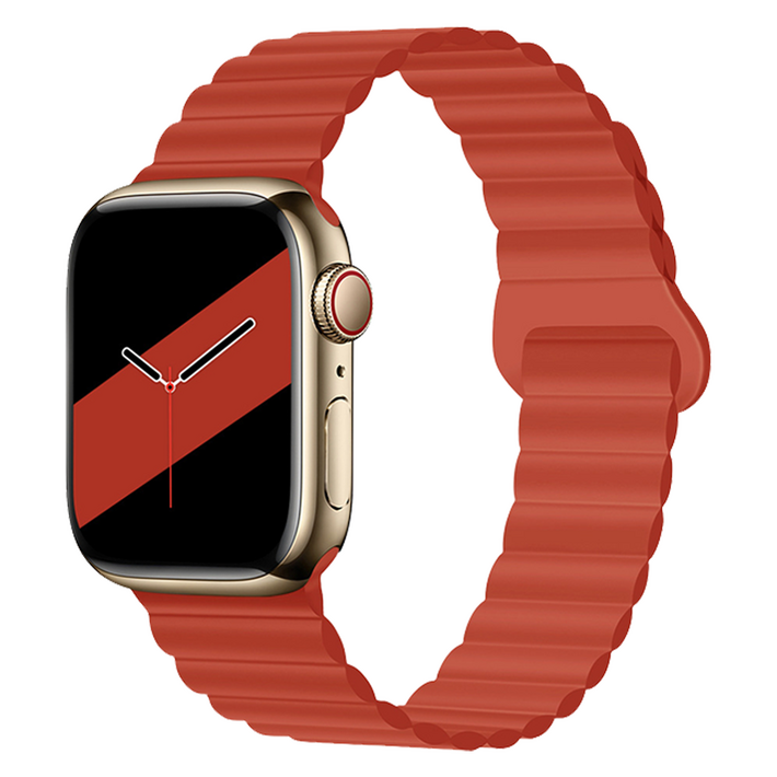 무디너리 실리콘 마그네틱 스트랩 버전1