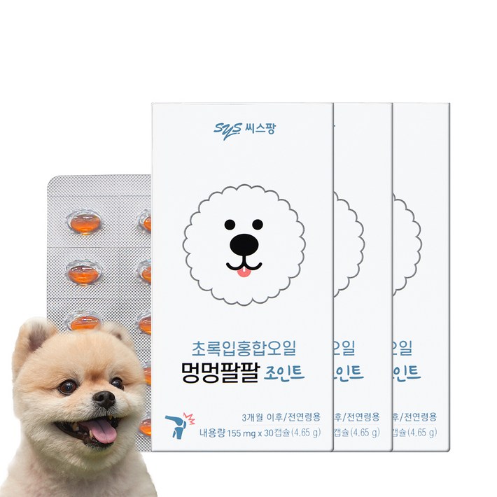 씨스팡 멍멍팔팔 조인트 반려견 관절 영양제, 초록입홍합, 3개 씨스팡 멍멍팔팔 조인트 반려견 관절 영양제, 초록입홍합, 3개