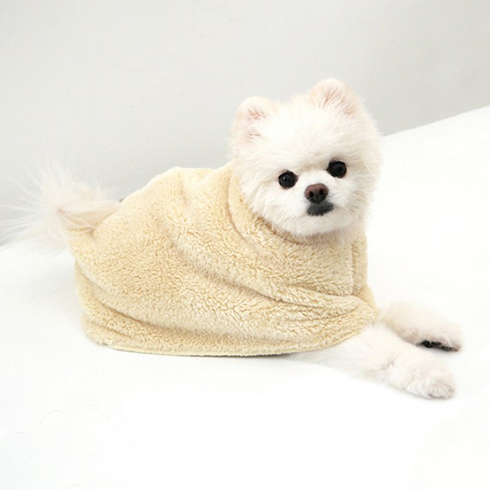 초코펫하우스 몬스터 펫가운