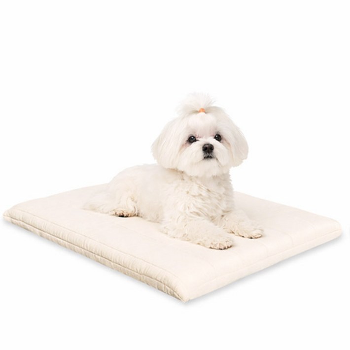 이브수 에어코일 펫베드 40x50 65x50 75x60, 1개, 아이보리