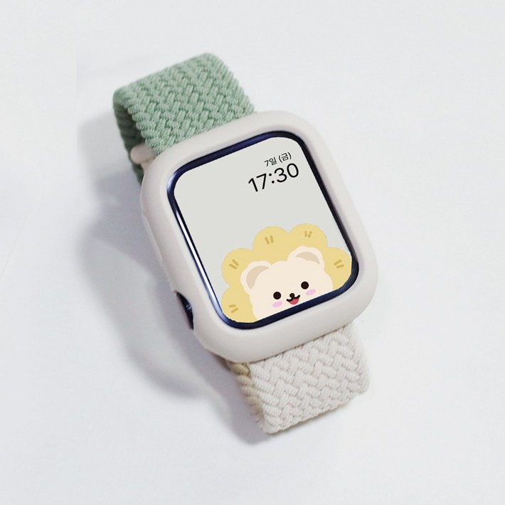 아이비온 애플워치 솔로 루프 메탈 스트랩  케이스 세트