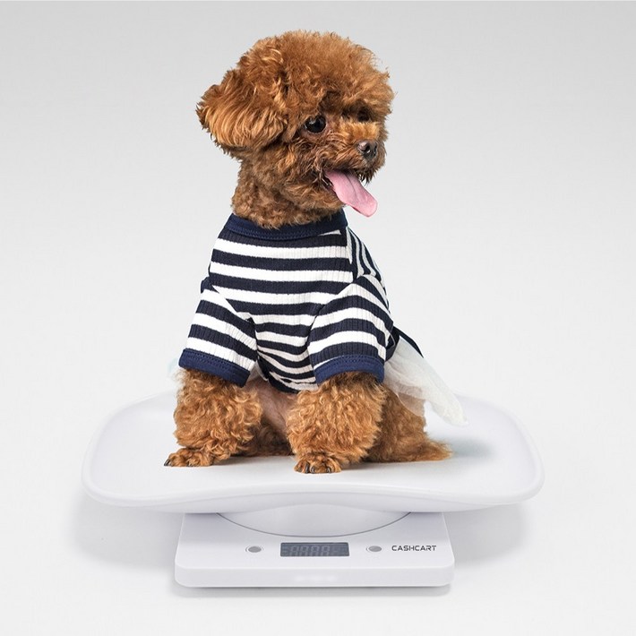 캐쉬카트 반려동물 체중계 펫저울, 화이트, 1개, JMK13