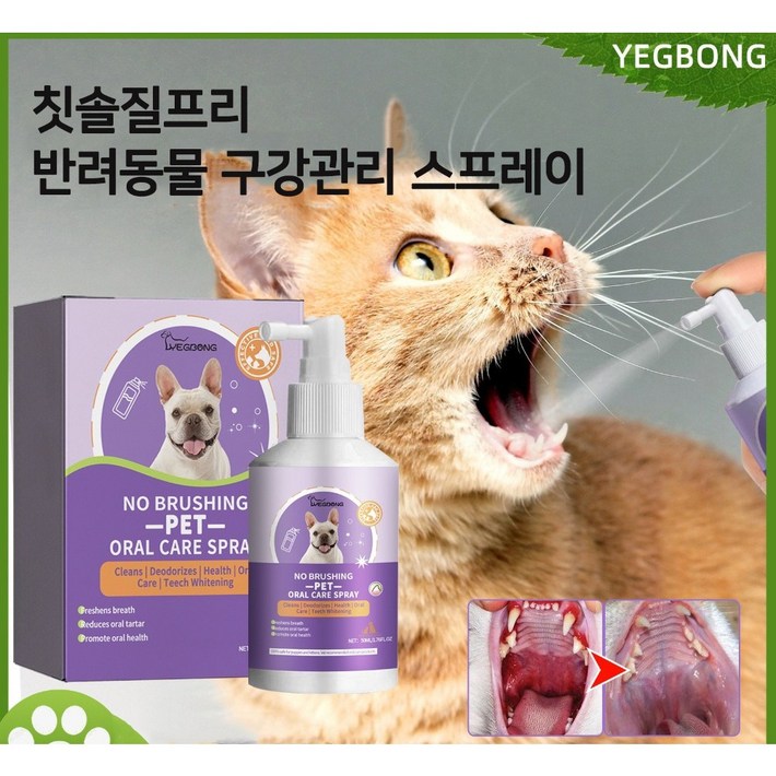 고양이 치석  JST02