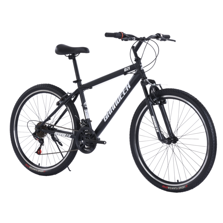 브랜디어 입문용 MTB 21단 자전거 B21