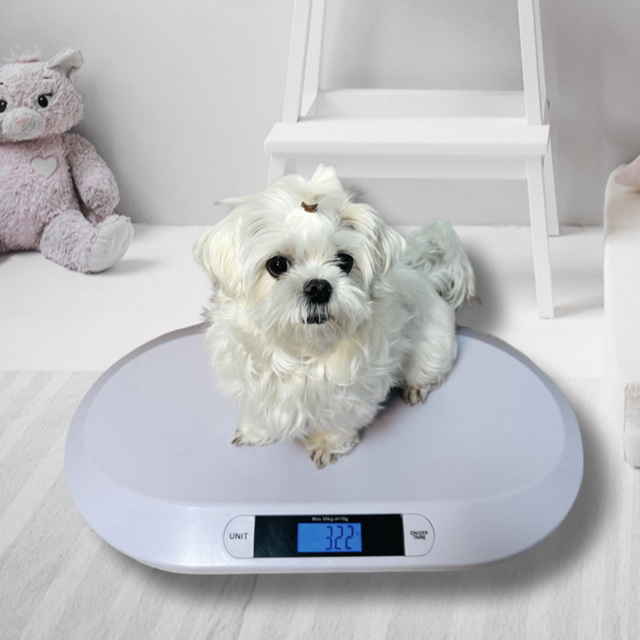 모노그릿 반려동물 강아지 고양이 체중계 펫저울