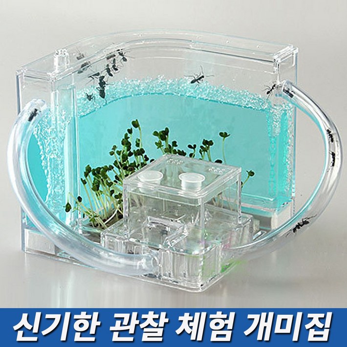 연결형 LED 개미집 개미 키우기 체험 사육장 하우스 만들기