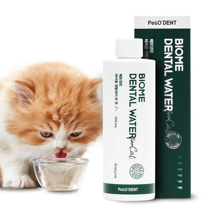 페토덴트 바이옴 덴탈워터 포 캣 고양이 마시는 치약