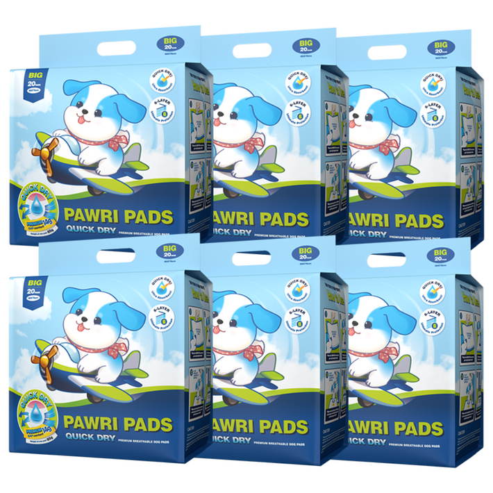 포우리 퀵드라이 강아지 배변패드, 6세트, 20개입