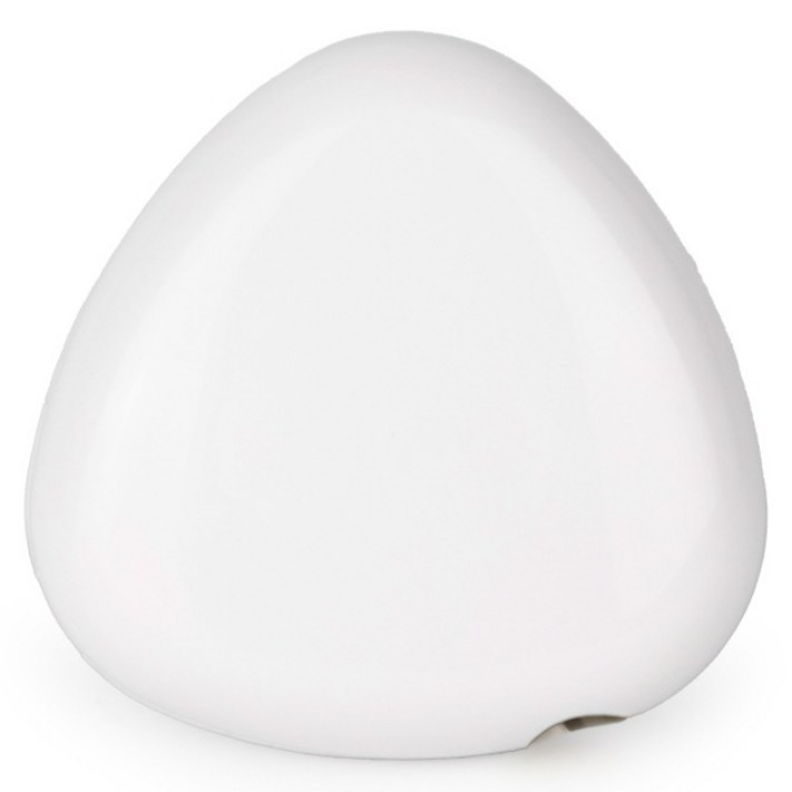 PLEIGO UV C LED 휴대용 충전식 조약돌 칫솔 살균기