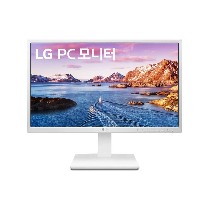 LG전자 PC모니터