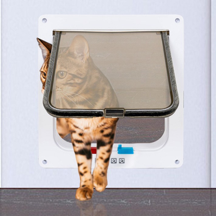 딩동펫 반려동물 펫도어