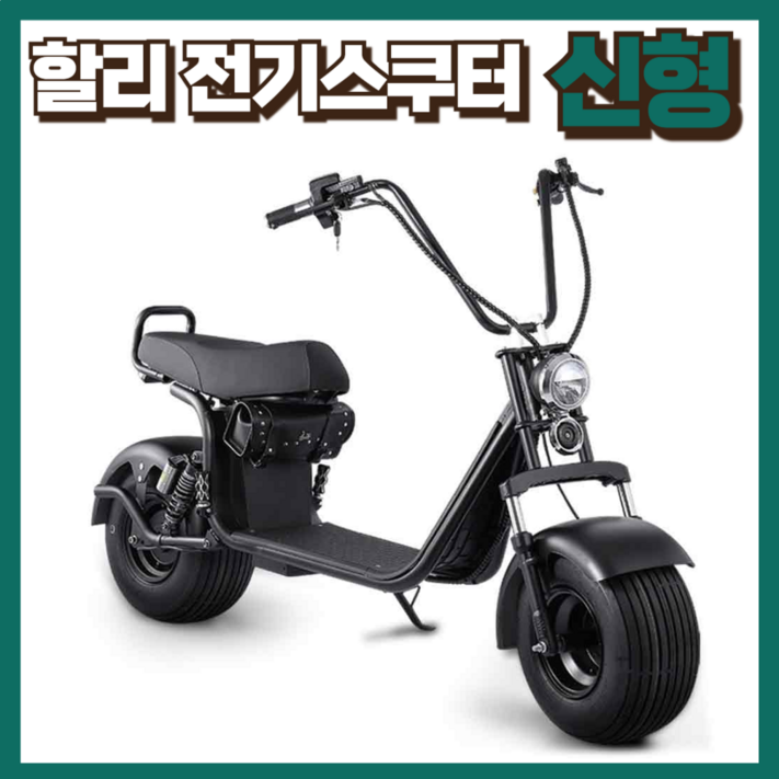 한울바람 할리 전기오토바이 스쿠터 바이크 취미 라이딩 충전 할리오토바이 고급 전동 간지